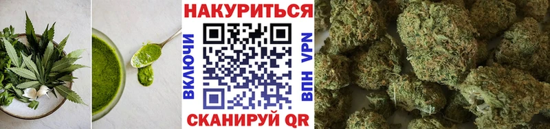 Cannafood конопля как найти закладки Буй