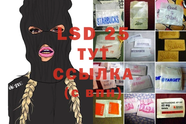 ГАЛЛЮЦИНОГЕННЫЕ ГРИБЫ Балабаново