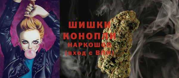 стаф Балахна