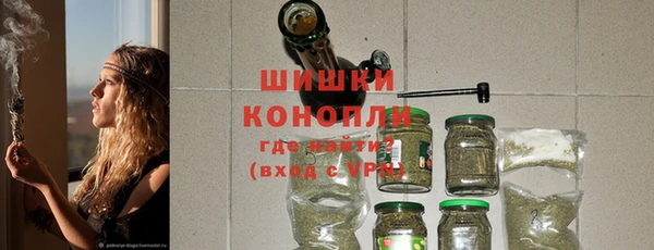 стаф Балахна