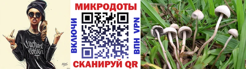 купить закладку  Буй  Галлюциногенные грибы прущие грибы 