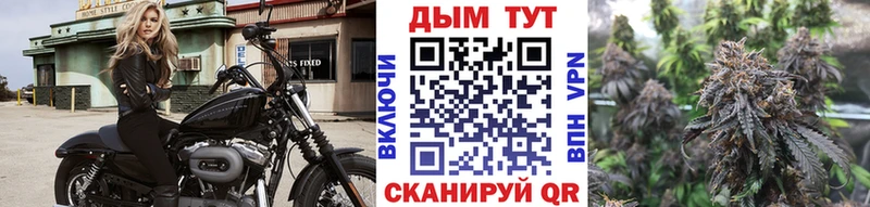 Бошки Шишки OG Kush Буй